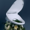 Soft Spa Electronic Bidet Toilet Seat